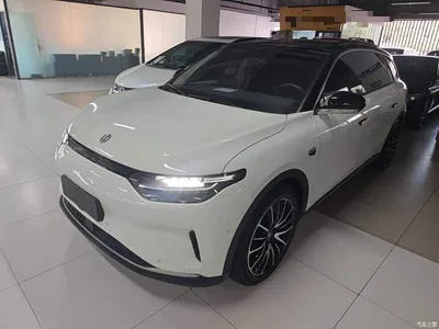 2021 Leapmotor C11 Facelift Luxury Edition, фото 2, лот 10808150