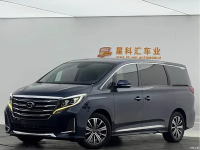2020 GAC Trumpchi Trumpchi M8 Pilot 390T Prestige Edition, фото 1, лот 10417602