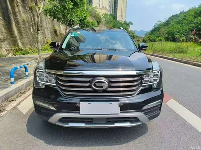 2017 GAC Trumpchi Trumpchi GS8 320T 2WD Luxury Smart Connect (7-seater), фото 2, лот 10415592