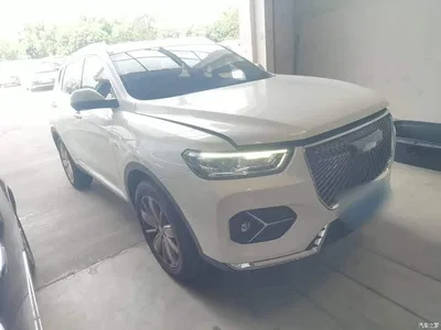 2021 Haval H6 1.5GDIT Automatic Champion Edition, фото 4, лот 10480863
