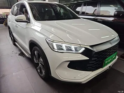2023 BYD Song Pro New Energy Champion Edition DM-i 110KM Excellence, фото 4, лот 10276819