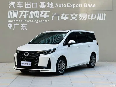 2019 GAC Trumpchi Trumpchi M6 270T DCT Honor Edition (7-seater) (China VI), фото 1, лот 10395741
