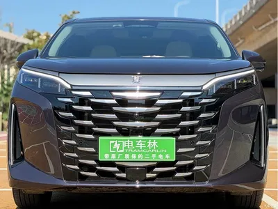 2026 BYD Xia DM-i 1.5T 218km Premium, фото 2, лот 10253953