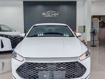 2021 BYD Qin PLUS DM-i 55KM Premium, фото 2, лот 11539723