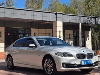 2017 BMW 5 Series 520Li Classic Edition, фото 3, лот 11547764