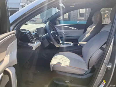 2024 BYD Song Pro New Energy Glory Edition DM-i 71KM Pilot, фото 3, лот 10274357