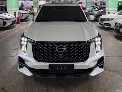 2022 GAC Trumpchi Trumpchi GS8 Pilot Series 2.0TGDI 2WD Premium Edition (7-Seater), фото 2, лот 11011391