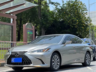2022 Lexus ES 200 Luxury Edition, фото 2, лот 10313511