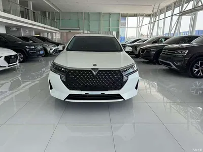 2021 Venucia D60 PLUS 1.6L XL CVT Joy Leader Edition, фото 3, лот 11153916