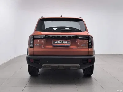 2021 Haval Big Dog 1.5T DCT 2WD Border Collie Edition, фото 4, лот 10361771