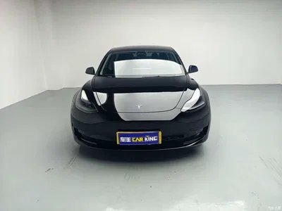 2022 Tesla Model 3 Model Rear-Wheel Drive Version, фото 3, лот 10452107