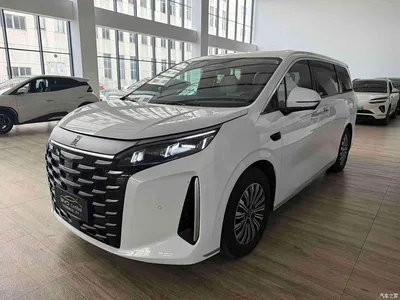 2025 BYD Xia DM-i 1.5T 180km Excellence, фото 1, лот 10247891