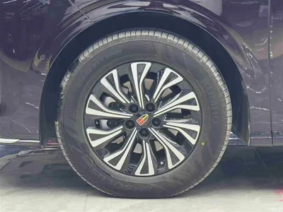 2024 Hongqi HQ9 PHEV Model 2.0T AWD Business Edition, фото 4, лот 10286843