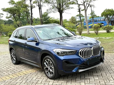 2020 BMW X1 sDrive25Li Leading Model, фото 3, лот 10465798