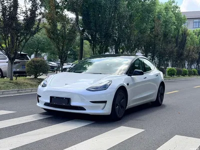 2021 Tesla Model 3 Standard Range Rear-Wheel Drive Upgrade 3D6, фото 1, лот 10355344