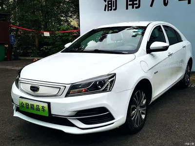 2018 Geely Emgrand New Energy EV450 Progressive, фото 1, лот 11230743