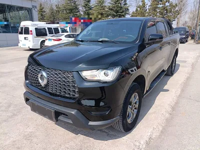 2021 Great Wall Pao 2.0T Commercial Edition Manual Diesel 2WD Elite Long Box GW4D20M, фото 1, лот 10248929