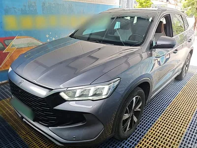 2023 BYD Song Pro New Energy Champion Edition DM-i 71KM Leading Type, фото 2, лот 10272534