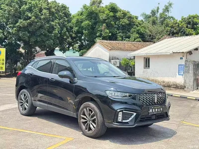 2021 WEY VV5 1.5T 2WD Trend Pioneer, фото 3, лот 11003156