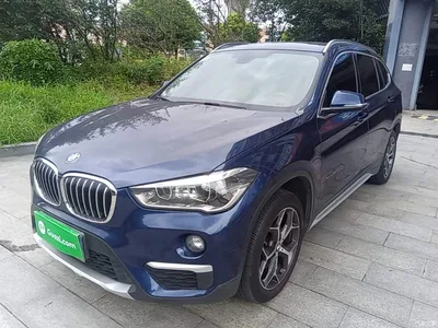 2018 BMW X1 sDrive18Li Premium Model, фото 2, лот 10467408