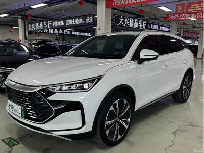 2022 BYD Tang New Energy DM-p 215KM AWD Executive, фото 1, лот 10273191
