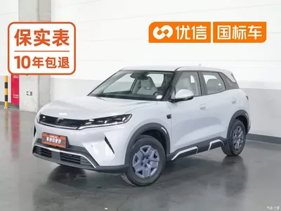 2025 BYD Yuan UP Smart Drive Edition 401KM Vitality Version, фото 1, лот 10384188