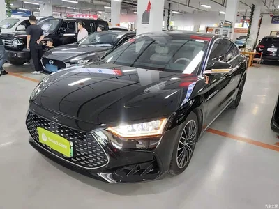 2024 BYD Han DM-i Glory Edition 121KM Honor, фото 2, лот 10387804