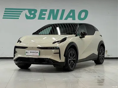 2025 ZEEKR X Four-Seat Rear-Wheel Drive Magic Cube Edition, фото 1, лот 10291047