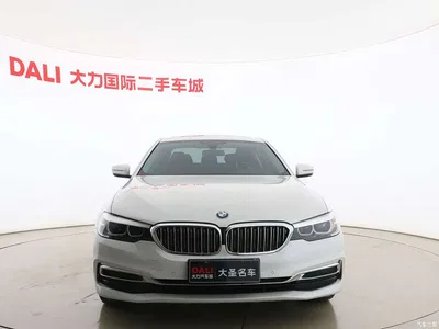 2020 BMW 5 Series 525Li Luxury Package, фото 2, лот 11138591