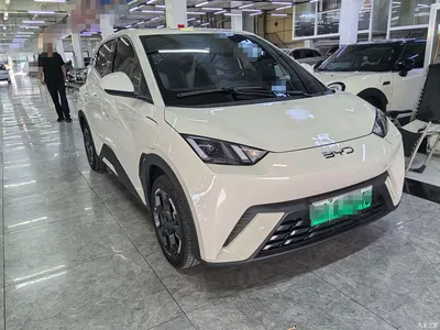 2024 BYD Seagull Glory Edition 305km Freedom Edition, фото 3, лот 10249942