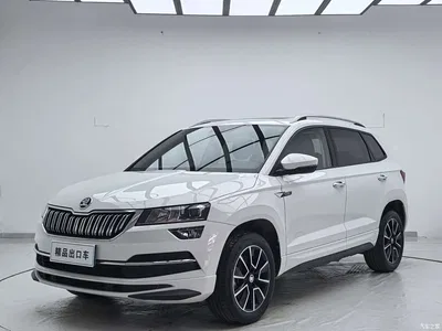 2023 Škoda Karoq TSI280 Premium Edition, фото 1, лот 10348764