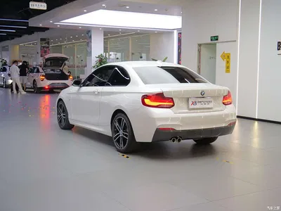 2019 BMW 2 Series (Import) 225i Exclusive M Sport Package, фото 3, лот 10399615