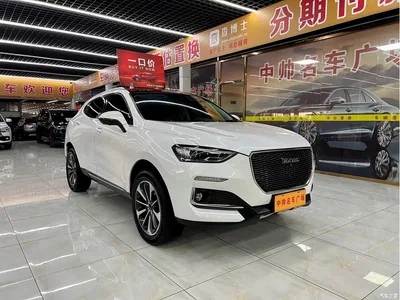 2019 Haval F5 National Trend Edition 1.5T iTrend China VI, фото 3, лот 10295933