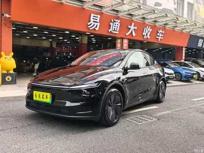 2025 Tesla Model Y Rear-Wheel Drive, фото 1, лот 10600074