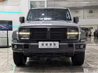 2021 Tank 300 Off-road Version 2.0T Conqueror, фото 2, лот 10450342