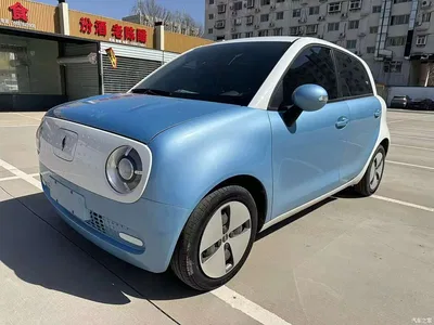 2021 Ora Black Cat 351km Standard Model, фото 1, лот 10332225
