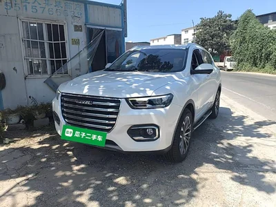 2020 Haval H6 1.5GDIT Automatic Platinum Champion Edition, фото 2, лот 10286075