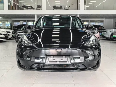 2023 Tesla Model Y Rear-Wheel Drive Edition, фото 2, лот 10394595