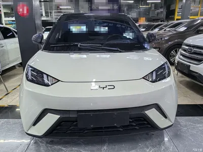 2024 BYD Seagull Glory Edition 305km Vitality Edition, фото 2, лот 10838569
