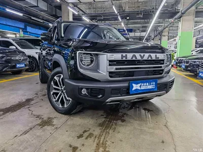 2024 Haval Big Dog 1.5T DCT Border Collie Edition, фото 3, лот 10816372