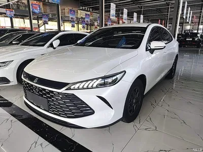 2025 BYD Qin PLUS DM-i Smart Drive 55KM Leader, фото 2, лот 11212529
