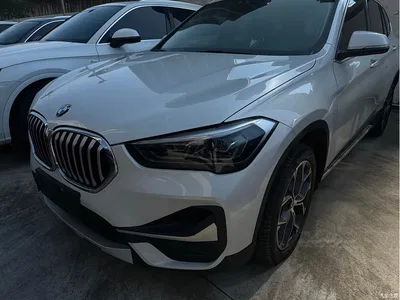 2021 BMW X1 sDrive25Li Leading, фото 1, лот 11582652