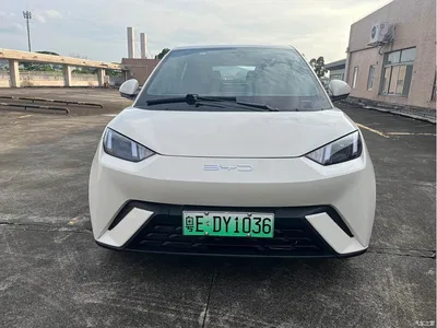 2024 BYD Seagull Glory Edition 405km Soaring Edition, фото 3, лот 10247435