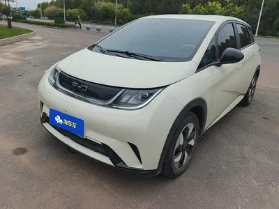 2025 BYD Dolphin 420km Freedom Edition, фото 1, лот 10404647
