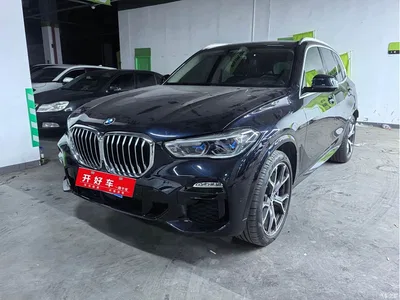 2019 BMW X5 (Import) xDrive40i Exclusive M Sport Package, фото 1, лот 11132557