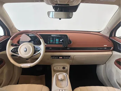 2023 Ora Good Cat 401km Standard Range Luxury LFP, фото 4, лот 10330994