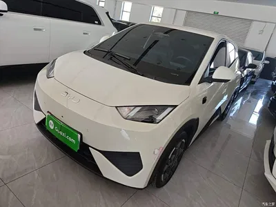 2025 BYD Seagull Smart Drive Edition 305km Freedom Version, фото 1, лот 11567610