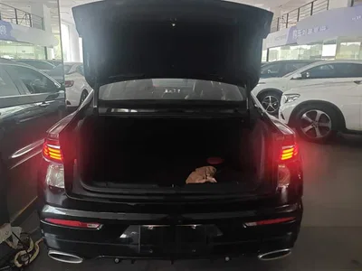 2021 Geely Xing Rui 2.0TD Luxury+ Model, фото 4, лот 10767860