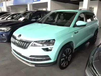 2018 Škoda Karoq TSI280 Flagship Edition China V, фото 1, лот 10348096