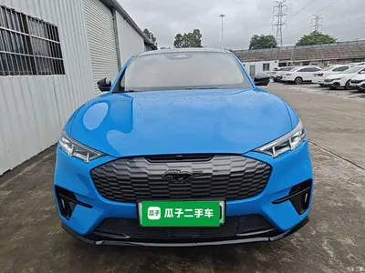 2021 Ford Mustang Mach-E Boundless RWD Luxury (Long Range), фото 3, лот 10281415